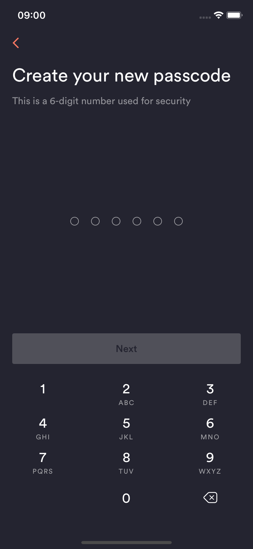 Up App screen to enter new passcode